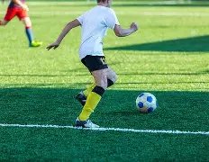 独家揭秘,筱杉彩票双,色球第,500彩票网,500彩票网官网首页,500彩票网app,500彩票网站,500彩票网官网,500彩票网网页