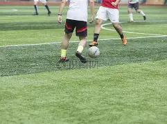 狗年彩运巅,大乐透,期绝密杀号,500彩票网,500彩票网官网首页,500彩票网app,500彩票网站,500彩票网官网,500彩票网网页