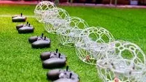 【胆大心细】双色球红蓝号码精准预测：03、05、28，揭秘中奖密码！