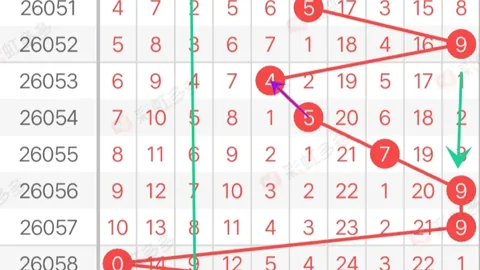 体彩P3第2026073期专家解析：上期三码五码定位直选