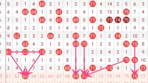 推荐 大乐透第2026024期宰父温精选复式预测