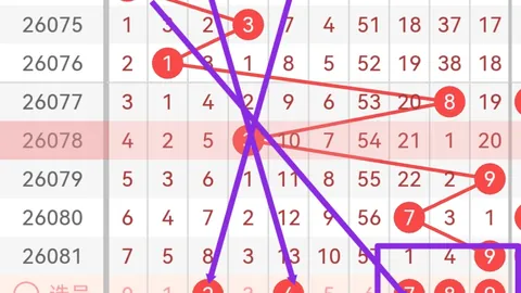 福彩3D26077期专家质合分析推荐一图解胆